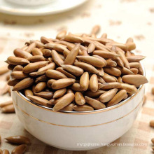Wholesale Chinese Suppliers Origin Roasted Pine Nuts, Pine Kernel For Sale